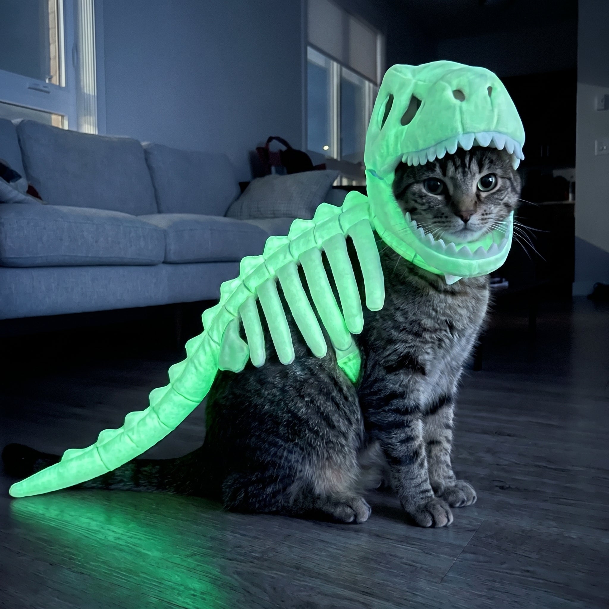 Bone Rex